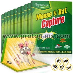 Mouse &amp; Rat Glue Pastes