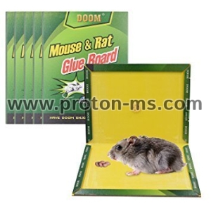Mouse & Rat Glue Pastes