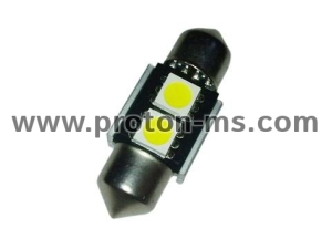 Diode bulb 2 SMD LED diode, white
